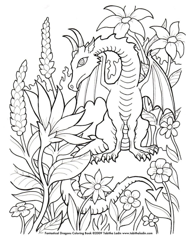 Dragon Colouring In